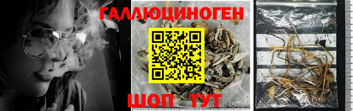 Самара  Галлюциногенные грибы прущие грибы  Вход с VPN 