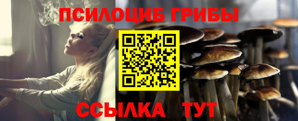 Псилоцибиновые грибы прущие грибы Самара